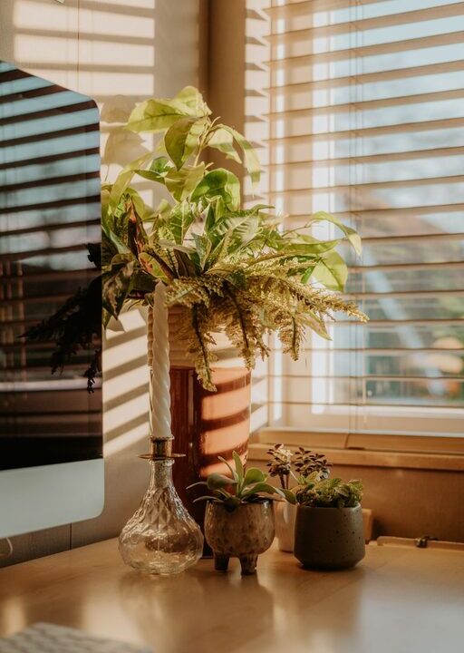 Tips for Creating a Cozy and Productive Home Office Environment